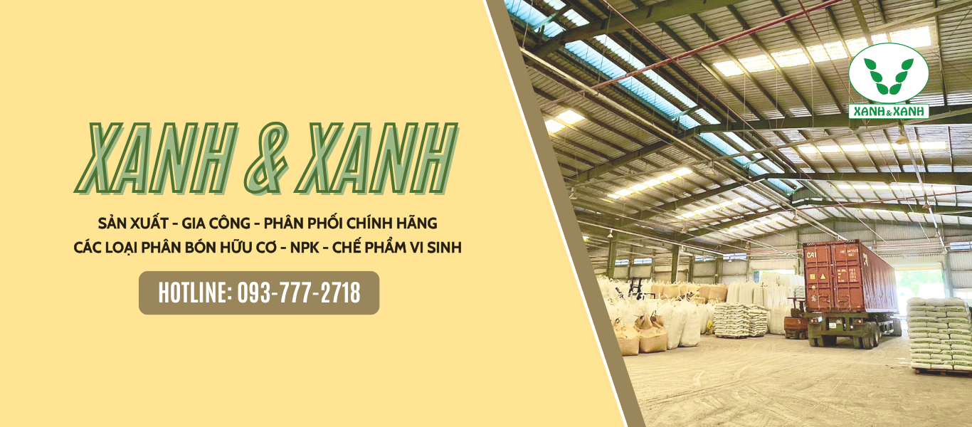 xanh-&-xanh-(3)-7859_1366x600.png