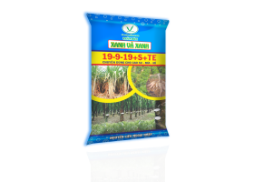 PHÂN BÓN NPK 19-9-19-S+TE